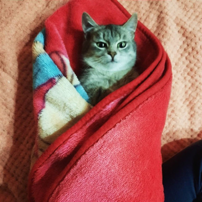 Мейсон