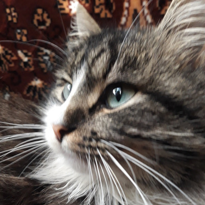 Лев Львович