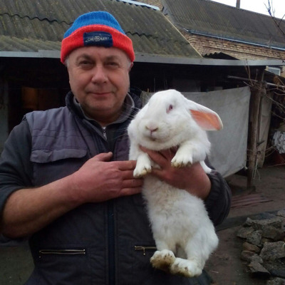 Андрій Мельник і кролик Семен