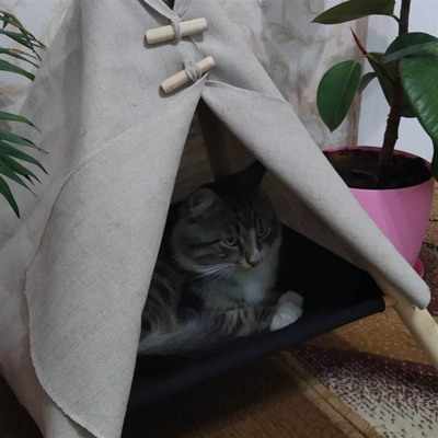 Алекс