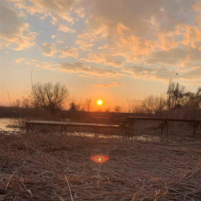 Тетяна Андреєва 