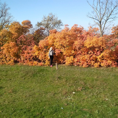 Любовь Грибовская