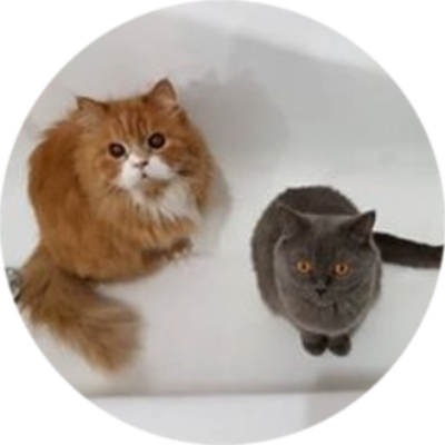 Рудік і Соня