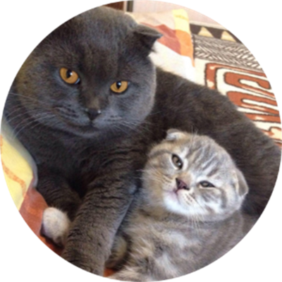 Мілка і Барсік