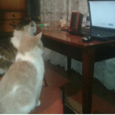 Мура и Лёлик