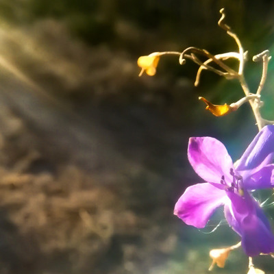 Варвара Кабаненко