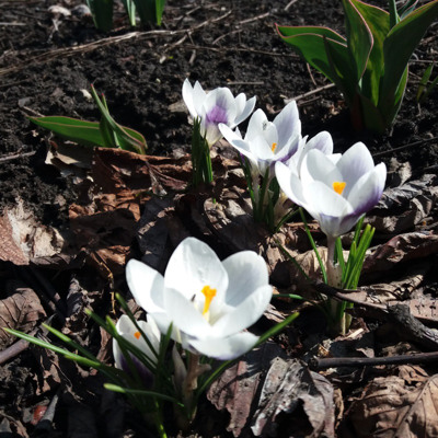 Дар'я Маляренко