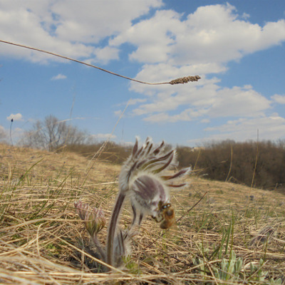 Євген Бойченко