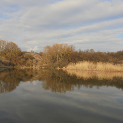 Євген Бойченко