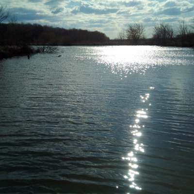 Аліна Павлюченко