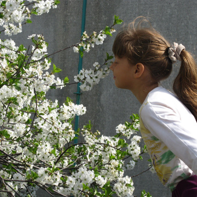 Алена Решетняк