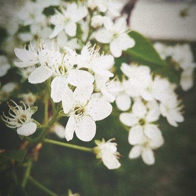 Артем Суворов