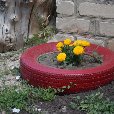 Цвітуть чорнобривці біля пошти
