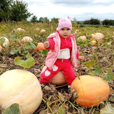 Марійка Варченко, м.Білопілля
