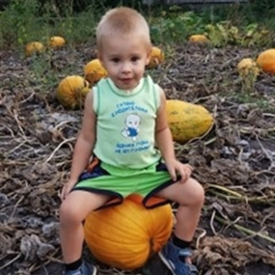 Богдан Липський, м.Білопілля