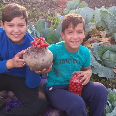 Єгор та Артур Шокун, м.Білопілля