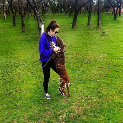 Кіруся, 3 роки, м.Білопілля