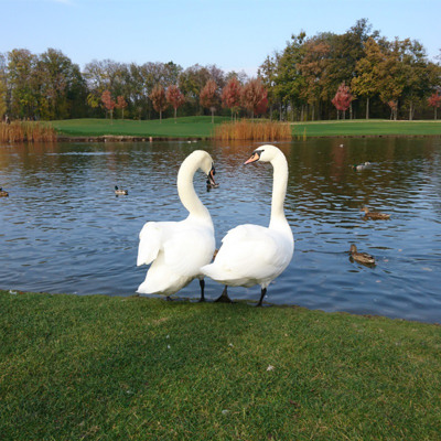 Ольга Кременчук