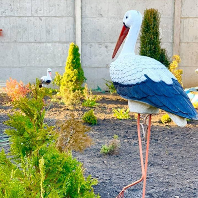 Осінь прийшла