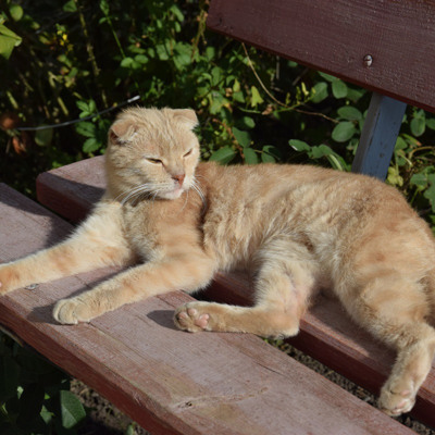 На осінньому сонечку