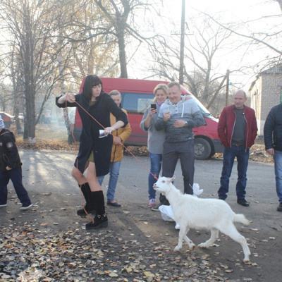 На Покрову виграла собі козу