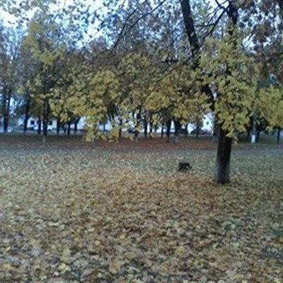 Залистопадило