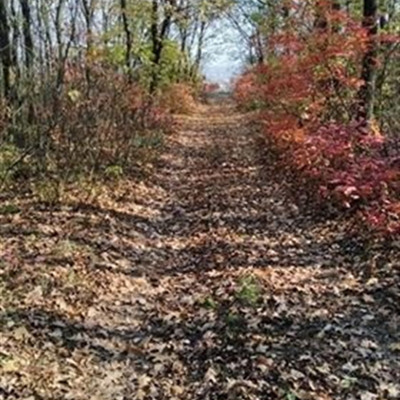 Дорога довжиною до неба