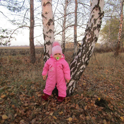 В березовім гаю 