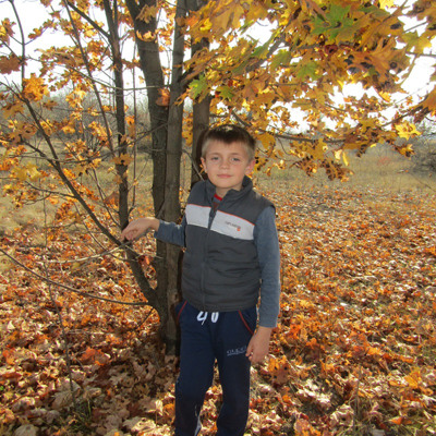 Дерева такі високі, але навколо стільки пригод