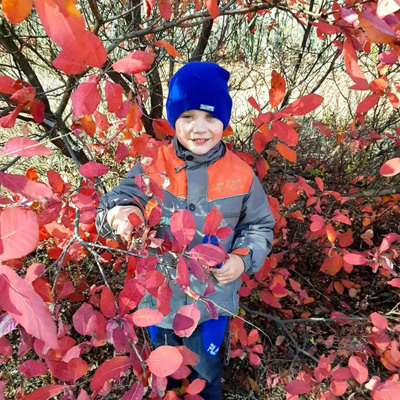 Пригоди в троїцькому лісі