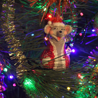 Щур Щасливчик