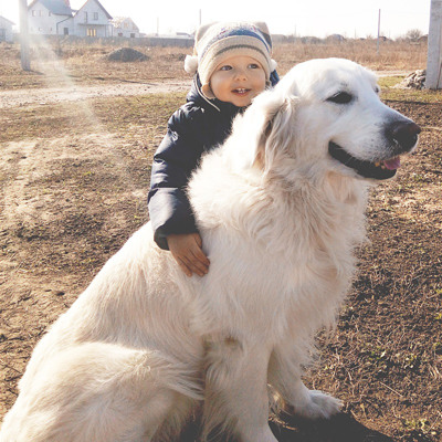 Саша Юрченко і Берліоз