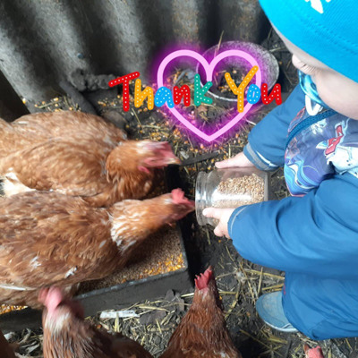 Андрюша Сокол і курочки