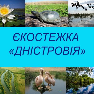 Проєкт Екостежка «Дністровія» 