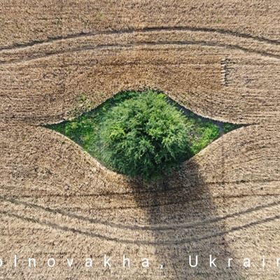 Андрій Калашник