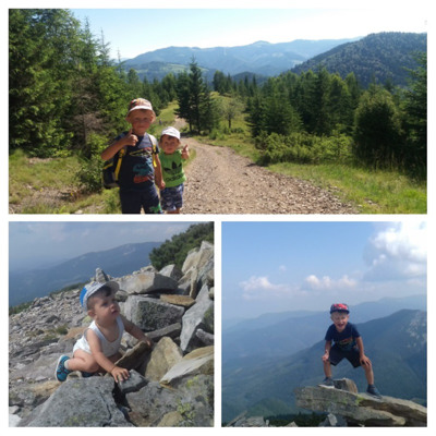 Олександр та  Любомир  Мельники