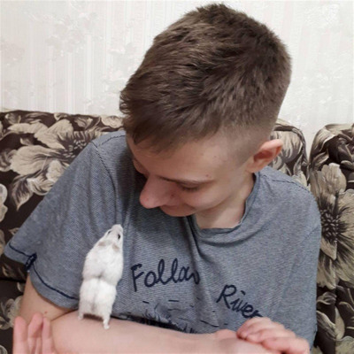 Артем Ульвіс