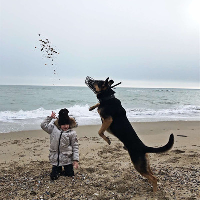 Світлана Гордієнко