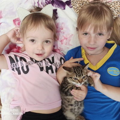 Ольга Дворченко