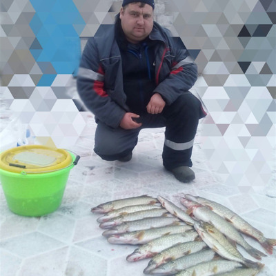 Олександр Вікторенко 