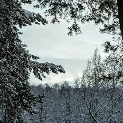 Олеся Пашкова