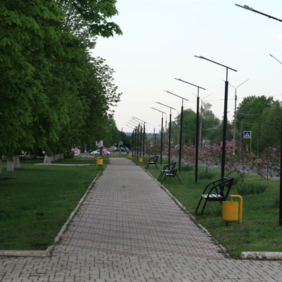 Каштанова алея біля спортзалу ДЮСШ і Будинку культури