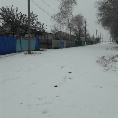 Вулиця Нова, село Новоолександрівка