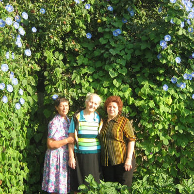 Сестри. Як весняне сонечко зігріває, так тепло сердець єднає