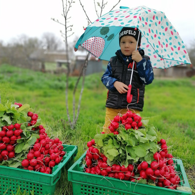 Сергій Домброван