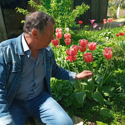 Валентин Довженко 