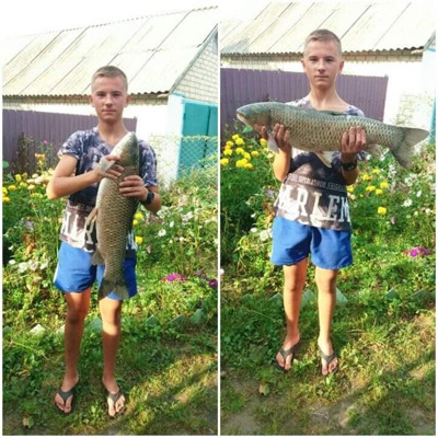Дмитро Ковальчук 