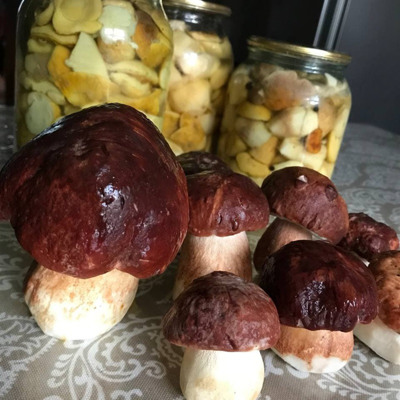 Каріна Карпан 