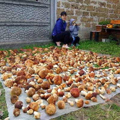 Марія Ягмирова