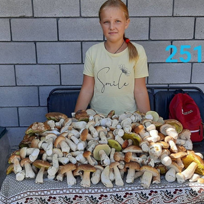 Марія Єленець